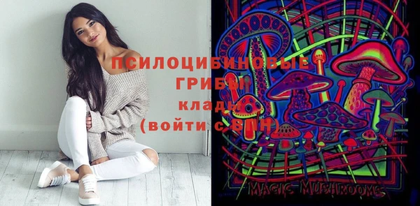 твердый Михайловск