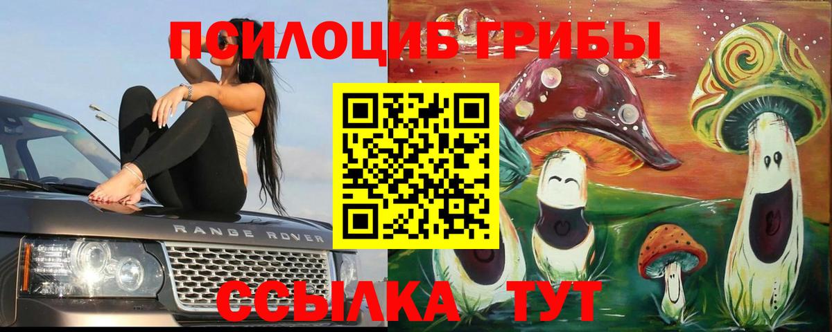 где найти наркотики  Галлюциногенные грибы Psilocybe  Вход с VPN  Норильск 